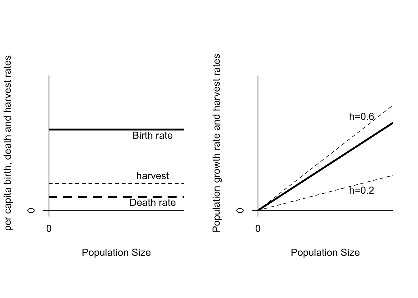 On the left are per capita birth (b=0.6), death (d=0.1) and harvest rates (h=0.2). On the right is population growth as a function of population size. The thin lines show a proportional harvest at h = 0.2 or h=0.6.