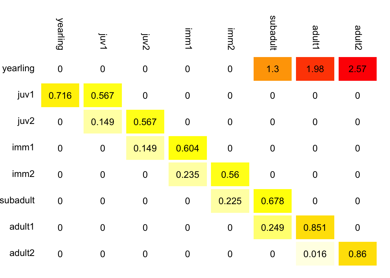 Stage structured pre-breeding projection matrix for Desert Tortoise *Gopherus agassizii* [@doak1994modeling]. The color codes highlight different magnitudes of the entries, with red having the largest value.