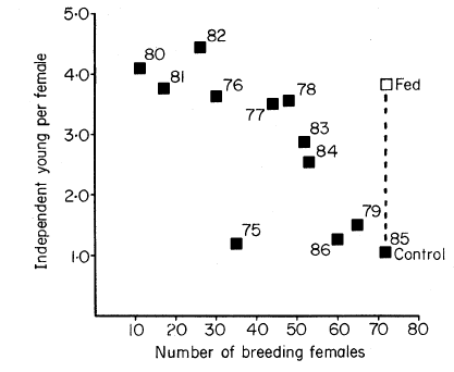 The mean number of independent young as a function of the number of breeding females in the Mandarte Island Song Sparrow population. In 1985 some females received supplementary feeding, which increased their reproductive output. The rate of change in reproductive output is lower, almost flat, when the number of females is less than 40. Adapted from Arcese and Smith (1988)